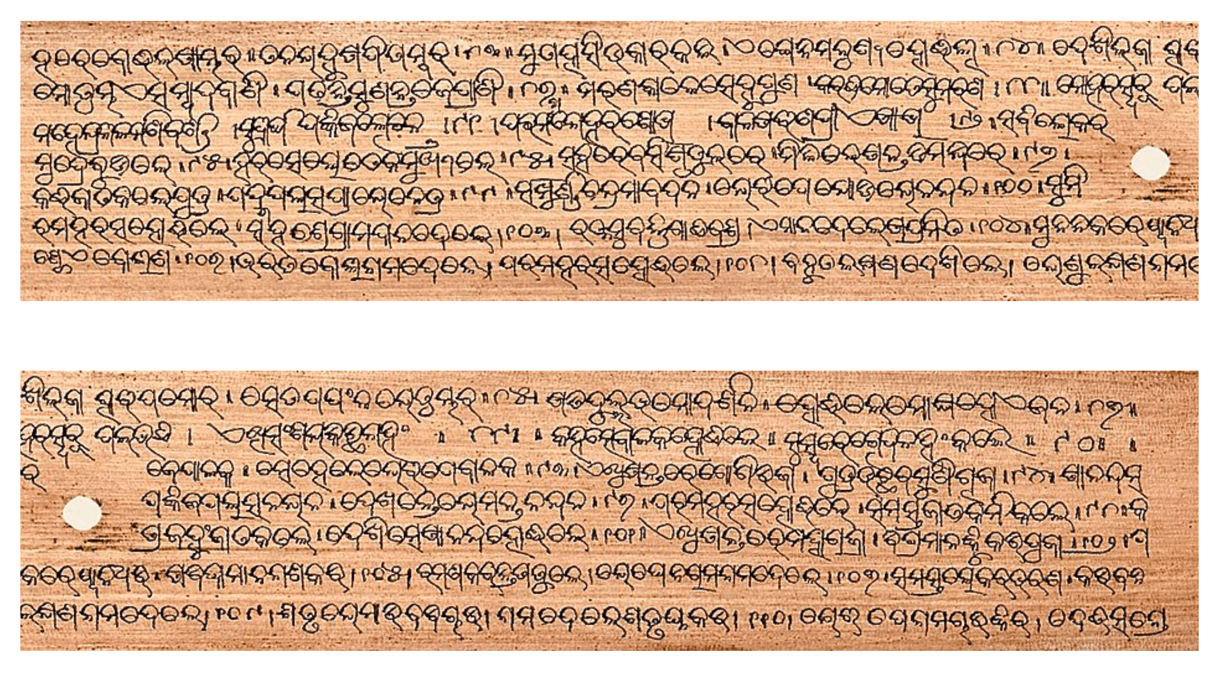 A palm-leaf manuscript written in an early form of the Odia script
